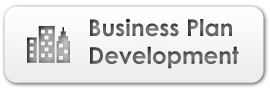 Business Plan Development